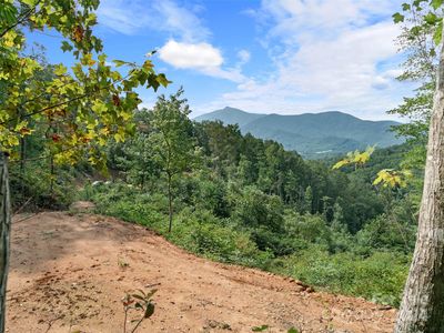 16/ACRE S Sirl Ln, Burnsville, NC, 28714