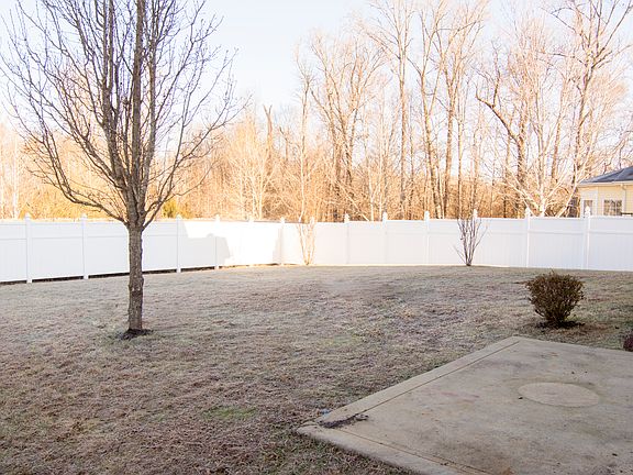 Spacious back yard