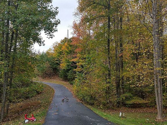 Driveway (Fall)