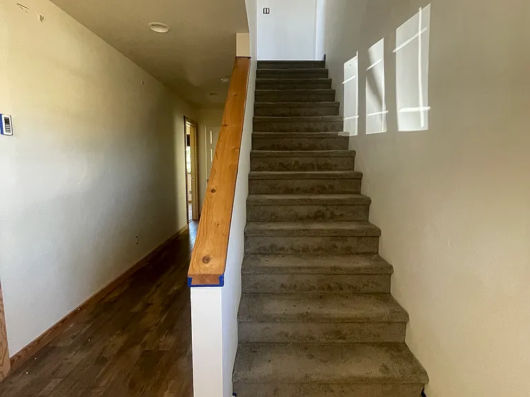 Stella Ln — Photo 4