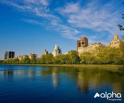 Rented by Alpha Properties NYC I LLC | media 4