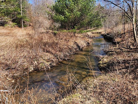 4th image of 584 Old Wilson Rd