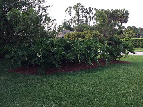 Front Island Landscaping