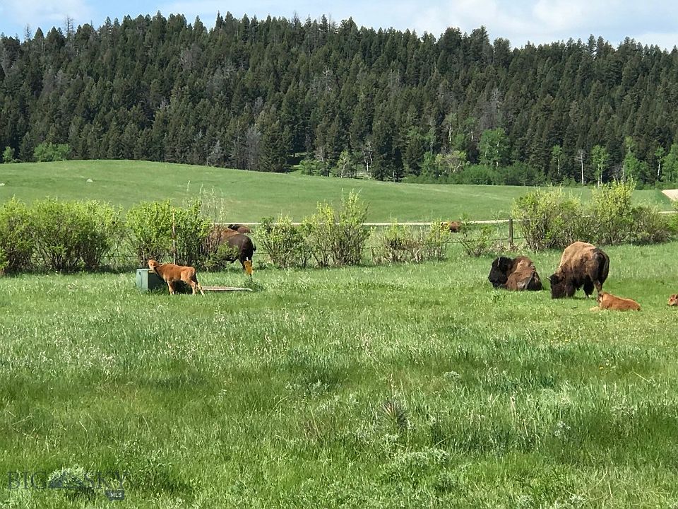 1st image of Tbd Grizzly Bear Loop
