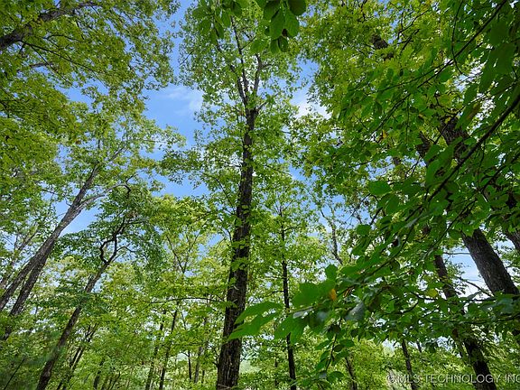 3rd image of 493 Moonshiners Springs Trl