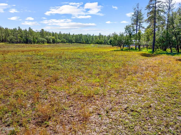 S Richardson Ln, Lakeside, AZ 85929