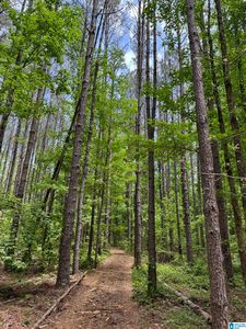 17 Presbyterian Church Rd #17, West Blocton, AL, 35184