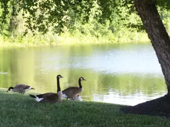 11467 Enclave Blvd, Fishers, IN 46038