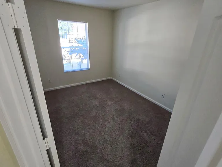 4701 Cohune Palm Ct — Photo 8