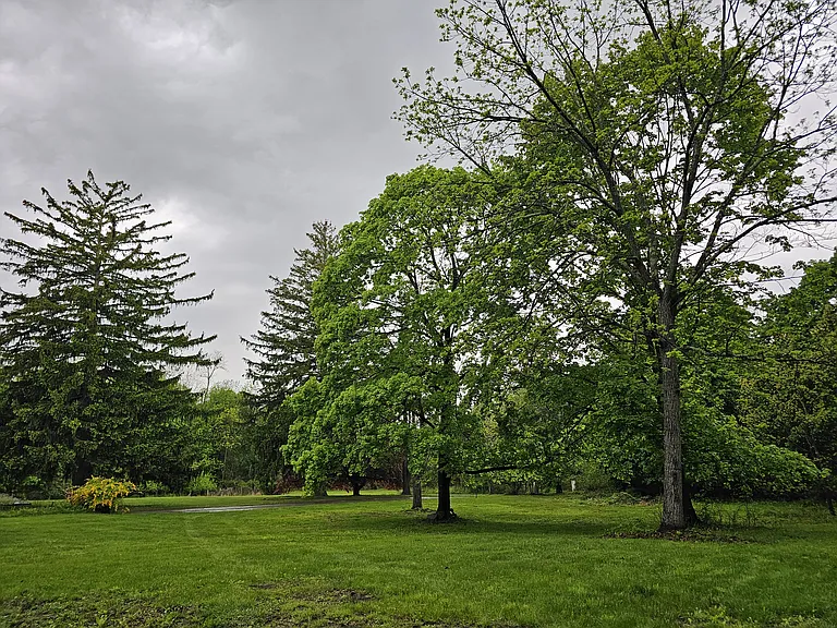 School House Ln — Photo 20