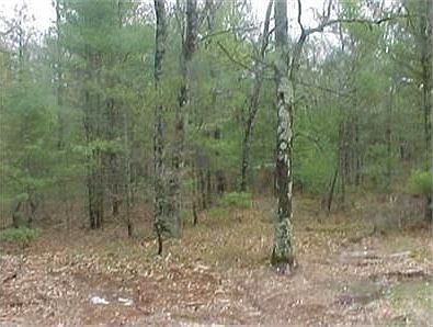 2nd image of 9337 Private Dr