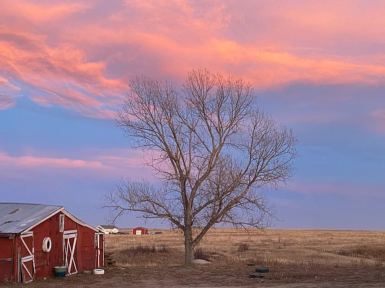 Original barn from the working ranch founded in 1915. The closest neighbor to the east is seen on the horizon.