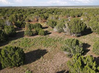 Apn 404 #49-023, Show Low, AZ 85901