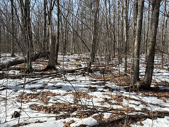 3rd image of 27XX 11th Ave