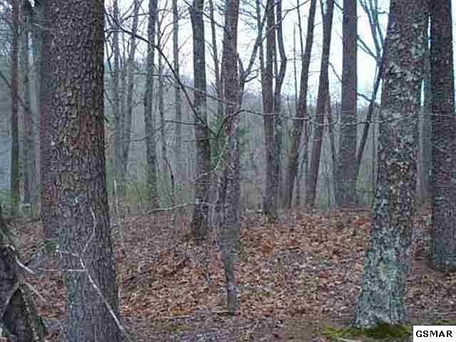 1st image of 74 Mountain View Rd Lot 74