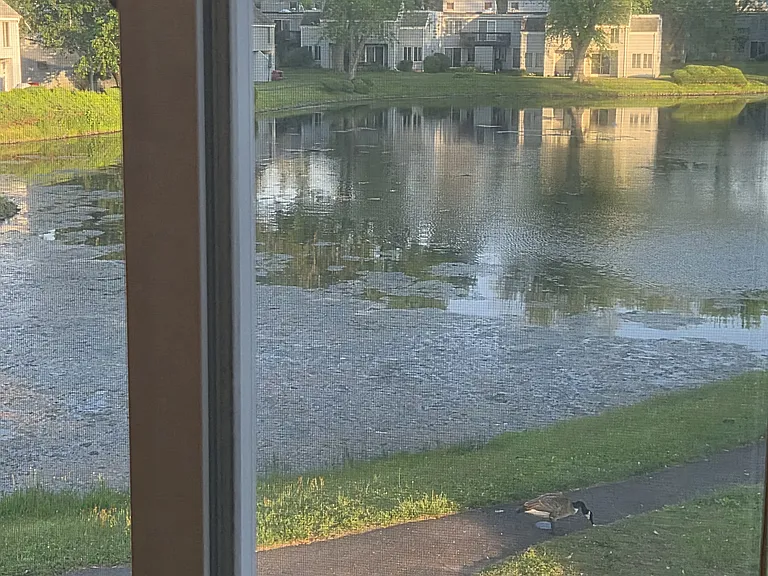 57 Cinnamon Spgs — Photo 16
