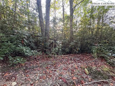 TBD Farview Lane, Newland, NC, 28657