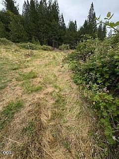 3rd image of 0 Kincaid Rd Lot 603