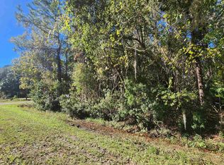 Janet Ave, Georgetown, FL 32139