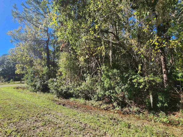 Janet Ave, Georgetown, FL 32139