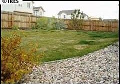 5th image of 440 Castle Pines Ave