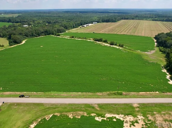 0 Judge Logue Rd, Newton, AL 36352