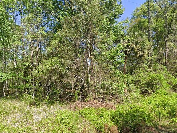 3rd image of 217 DOGWOOD AVENUE
