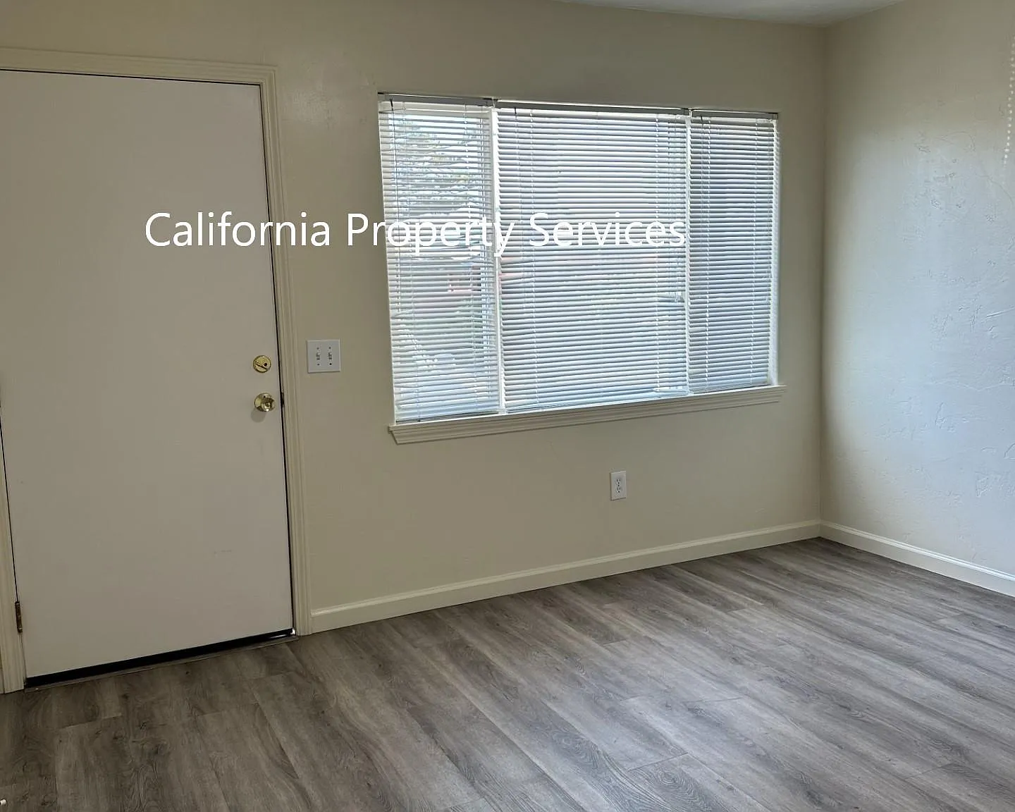 Studio, $1,395 — Photo 3