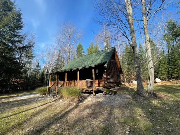 15792 Bull Run Trl, Wolverine, MI 49799