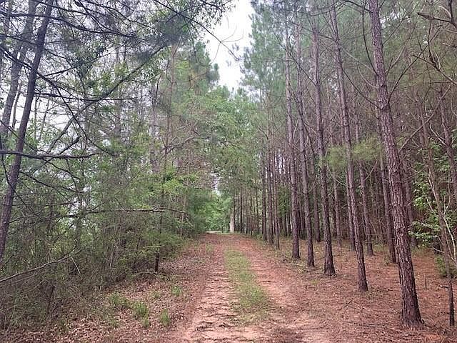 1st image of 1575 Purvis To Baxterville Rd