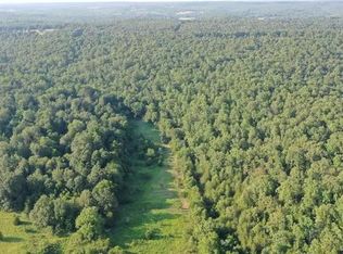 82 Wirth Rd, Ravenden, AR 72459