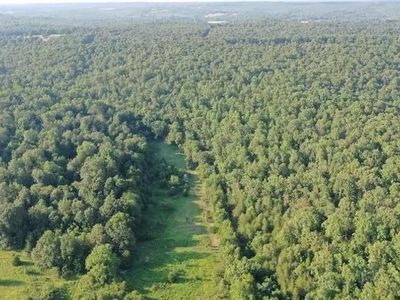 82 Wirth Rd, Ravenden, AR, 72459