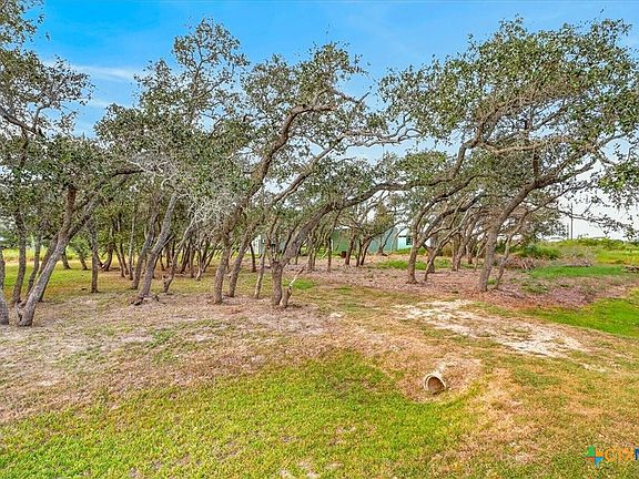 4th image of 578 Mesquite Tree Loop