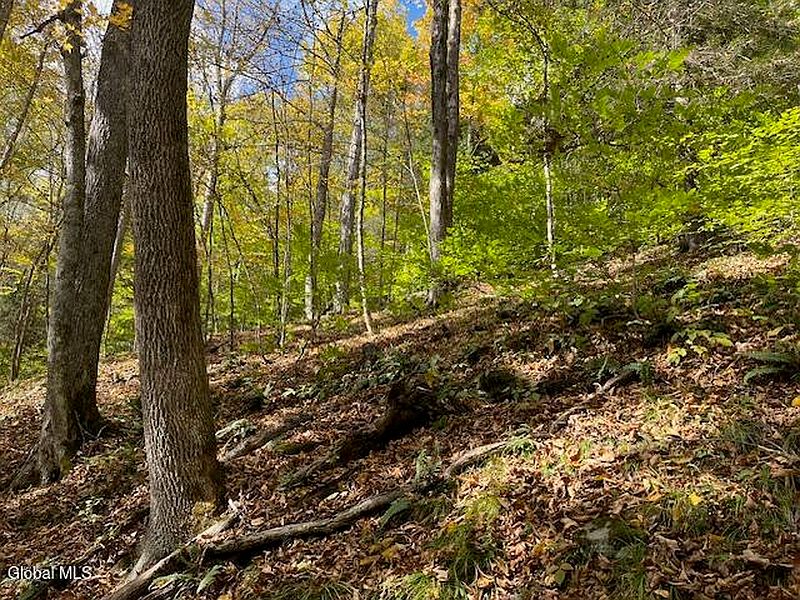 4th image of 140 Stonewall Path