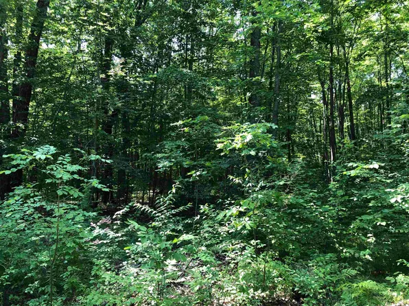 V/l Alpine Dr, Lake, MI 48632