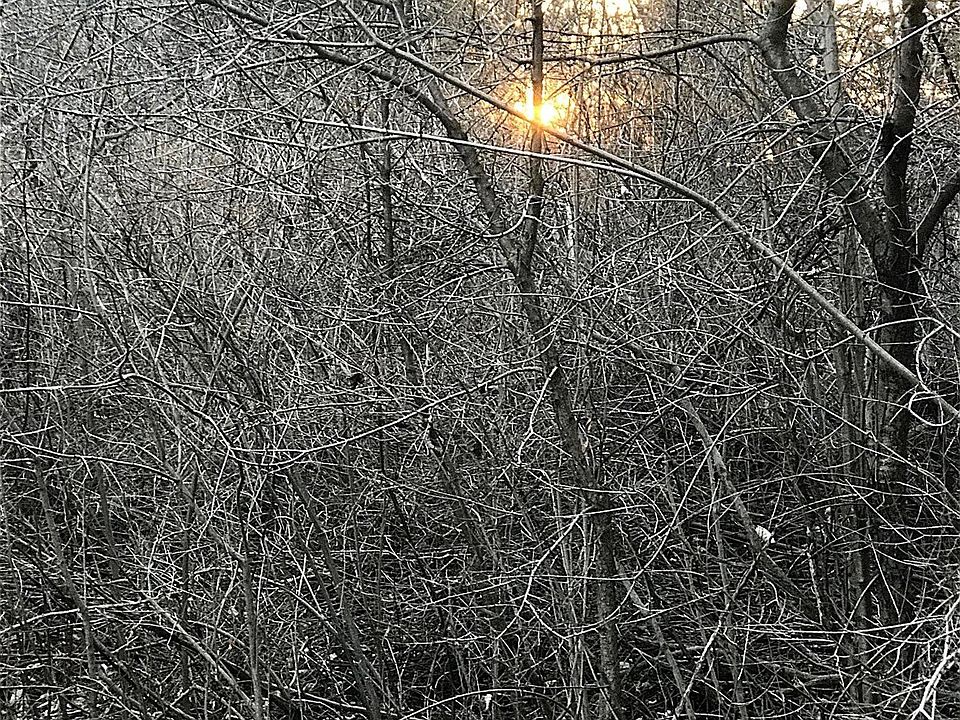 1st image of 99 Debbie Dr