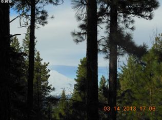 56 Lava Rd, Trout Lake, WA 98650