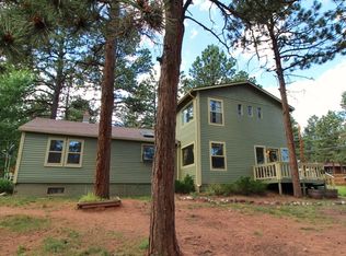 1100 W Browning Ave, Woodland Park, CO 80863