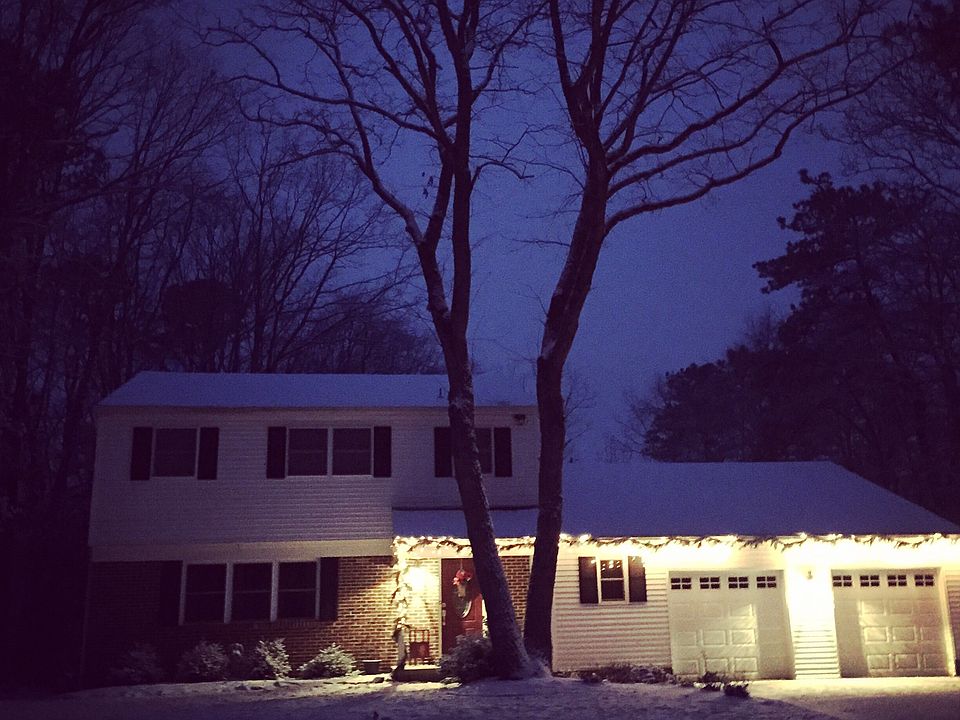 Winter scape