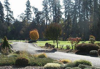 The view from the front door