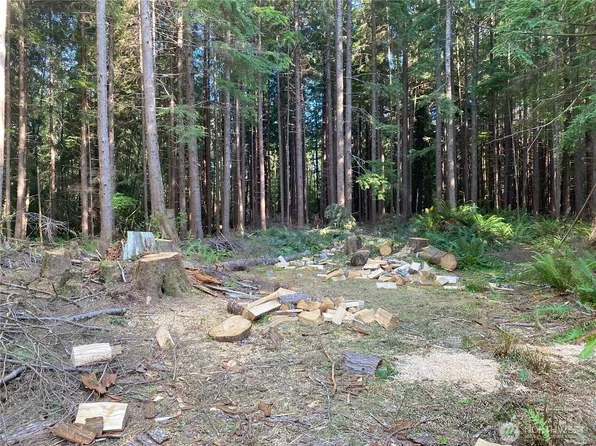 0 HWY 101 Forks, Forks, WA 98331