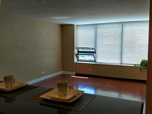4th image of 3930 N Pine Grove Ave APT 1110