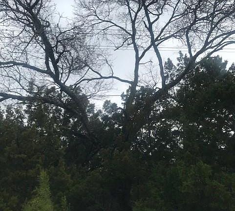 4th image of 6901 Deepwood Dr