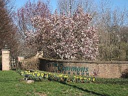 Lebanon Commons
