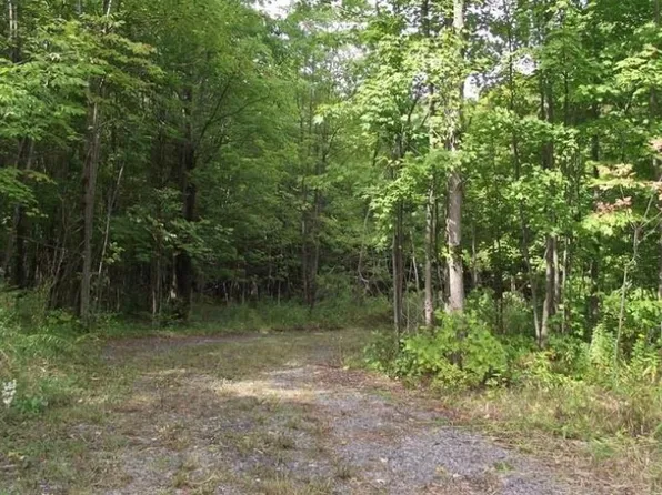 10281 Wolcott Hill Rd #29, Camden, NY 13316