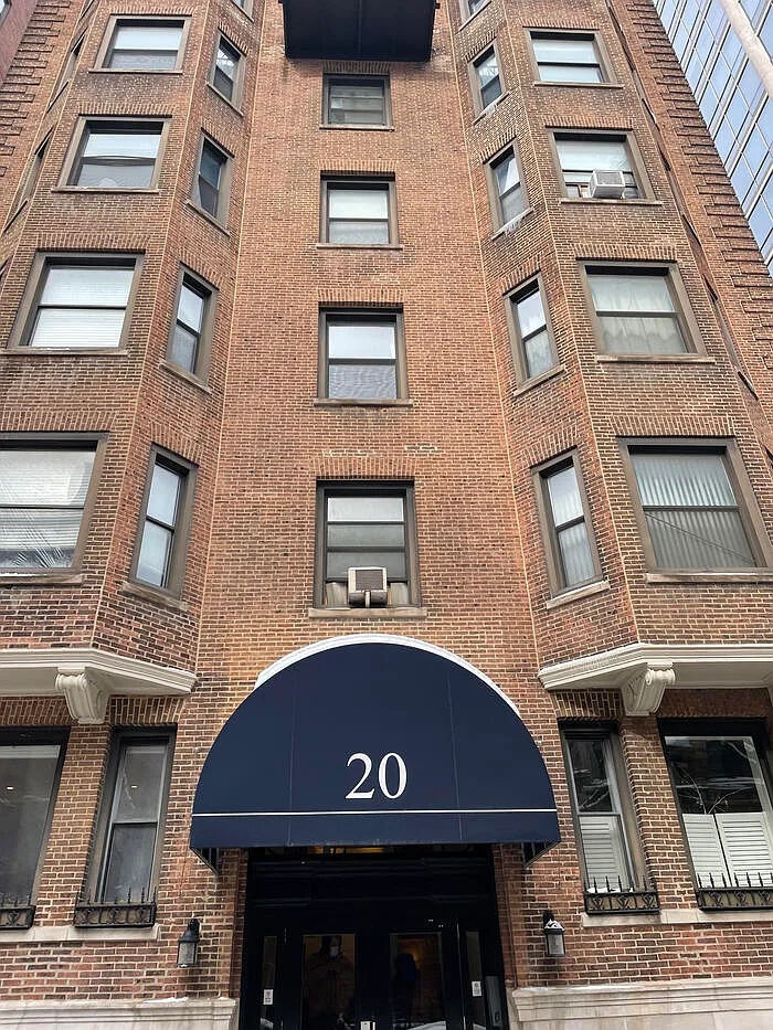 20 E Goethe St APT 106 photo 1