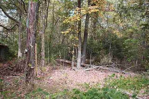 2nd image of 2314 Graham Rd