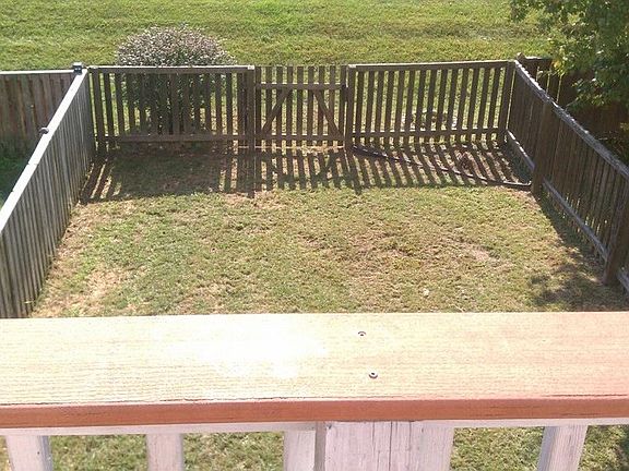 Back yard