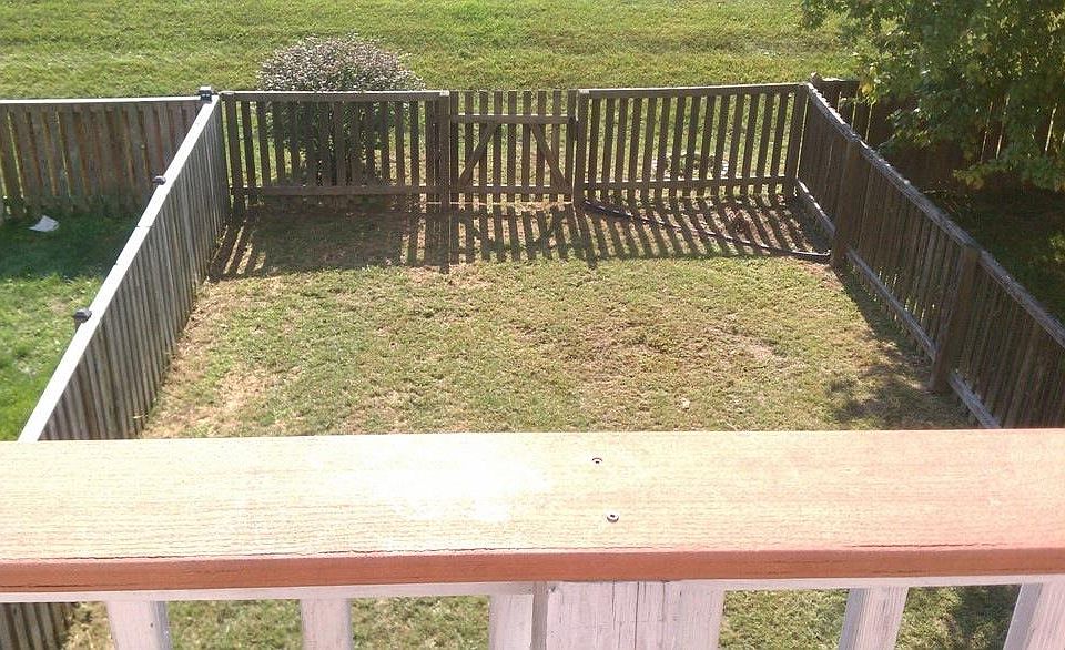 Back yard