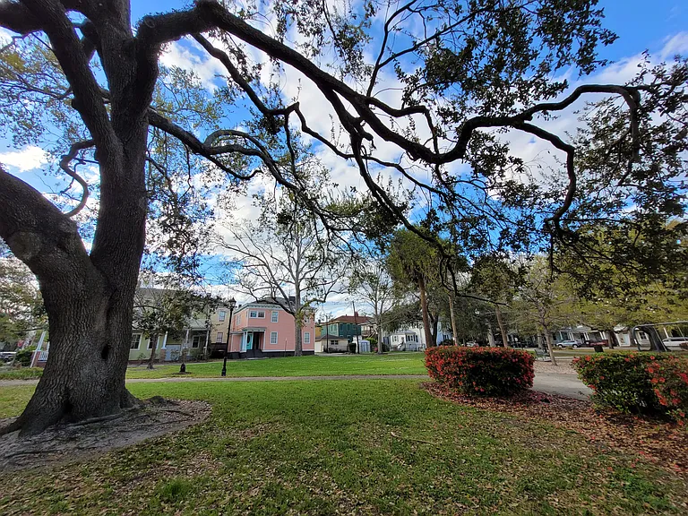 View of Duplex from Dixon Park across Java Place
